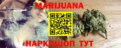 индика Пенза