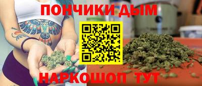 индика Пенза