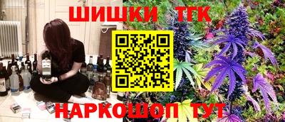 индика Пенза