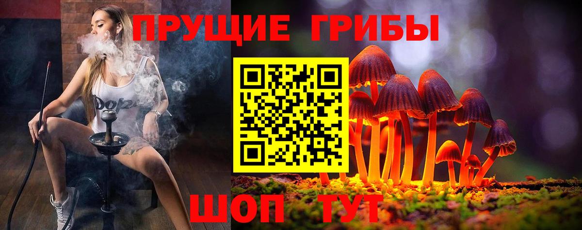 где купить   Вход с VPN  Оренбург  Галлюциногенные грибы Psilocybine cubensis 